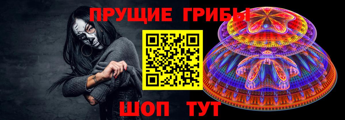 где найти наркотики  Вход с VPN  Кувандык  Галлюциногенные грибы MAGIC MUSHROOMS  Псилоцибиновые грибы Psilocybe 